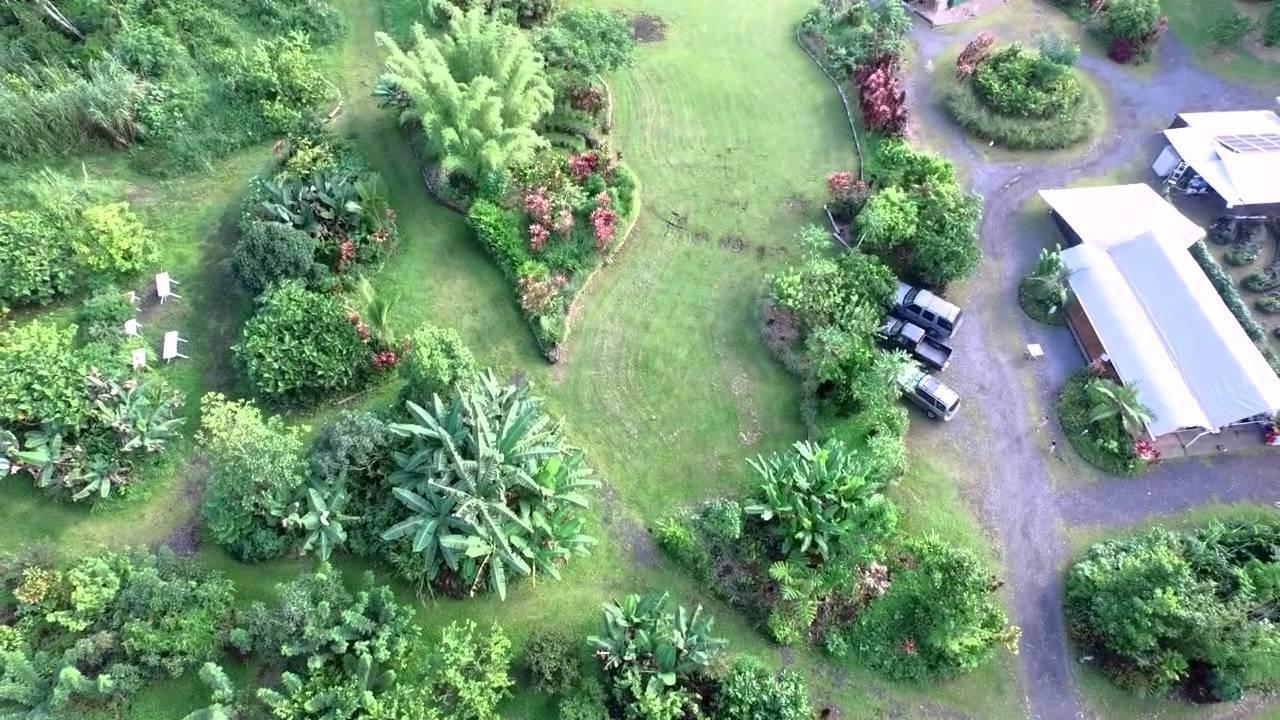 Hawaiian Sanctuary Eco Retreat Center Villa Pahoa Kültér fotó
